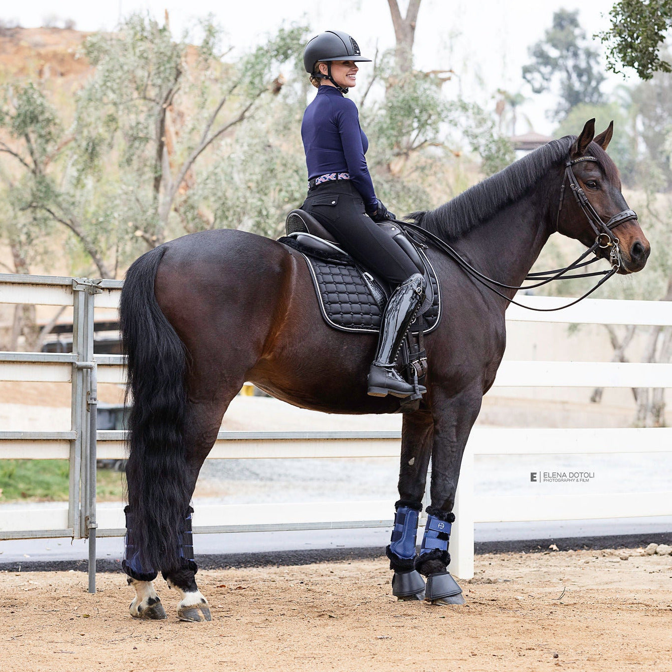 Halter Ego Kimberly Full Seat Breeches - Black